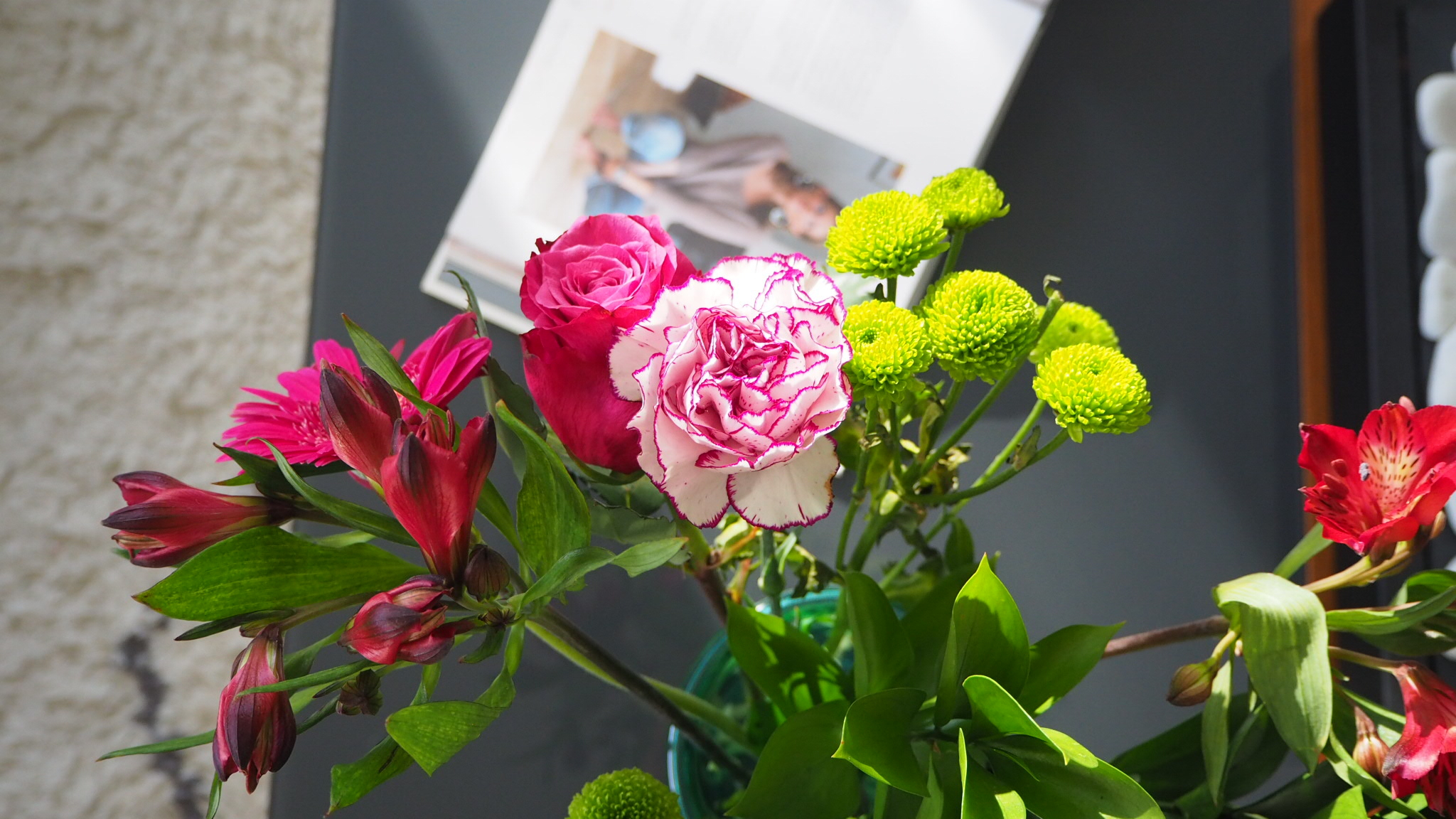 OLYMPUS DIGITAL CAMERA