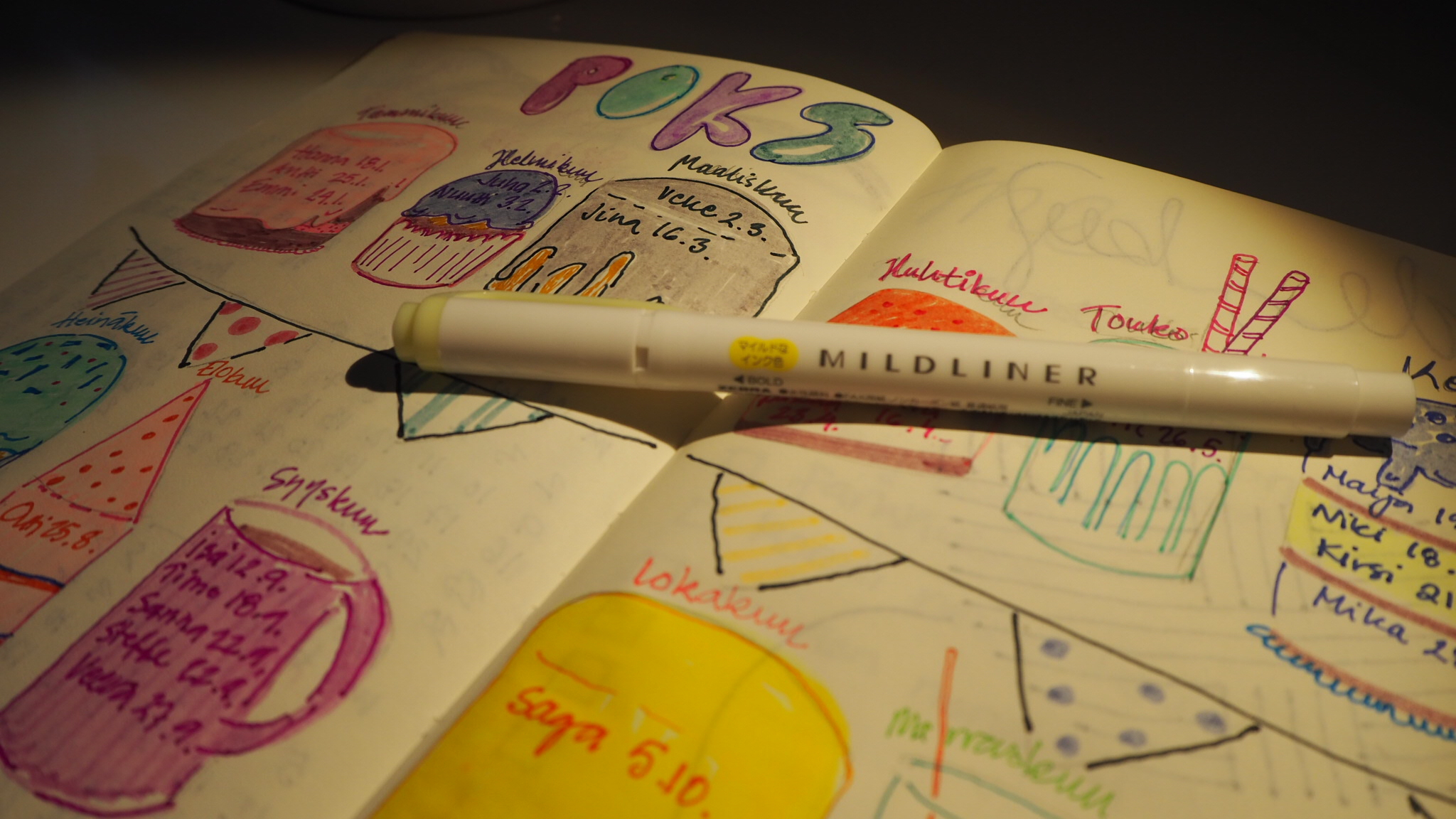 OLYMPUS DIGITAL CAMERA