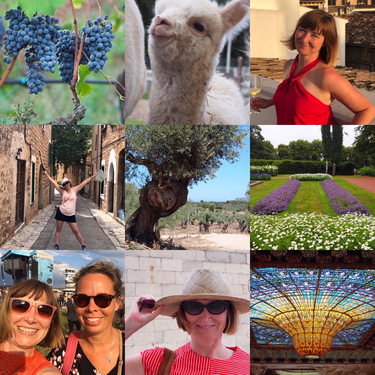 305BA837-3123-48B7-93C7-B383A16F32B4